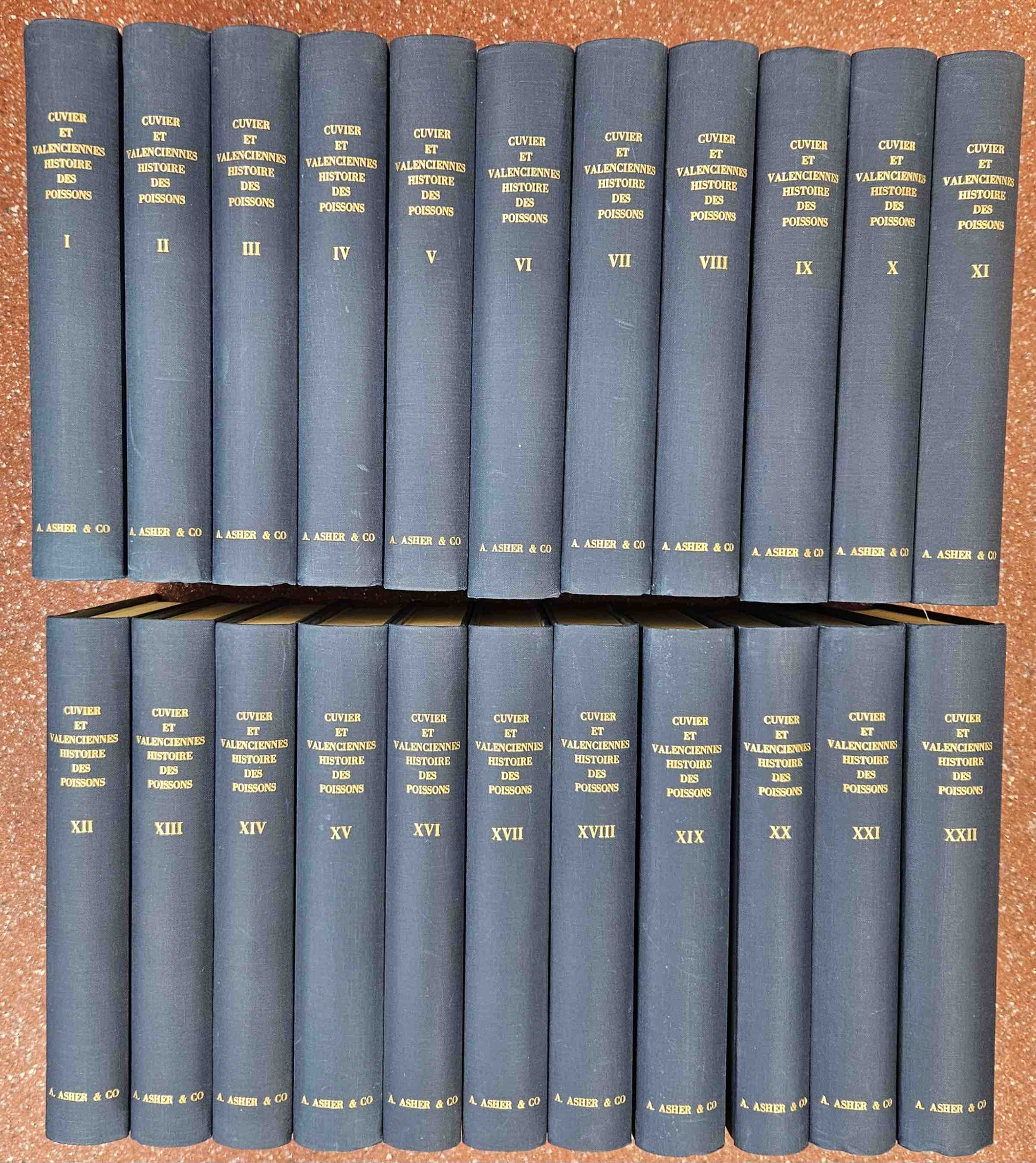 Cuvier, Georges, [baron, 17691832];  Valenciennes, M., 1794-1865 - Histoire naturelle des poissons, par M. le B[ar]on Cuvier et par M.A. Valenciennes. 22 volumes complete.