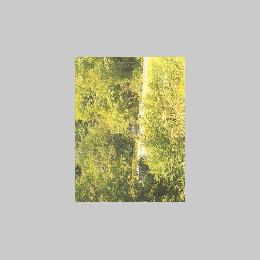 Kessels, Erik - Tyler, W. - In almost every picture 2. Erik Kessels/Andrea Stultiens.