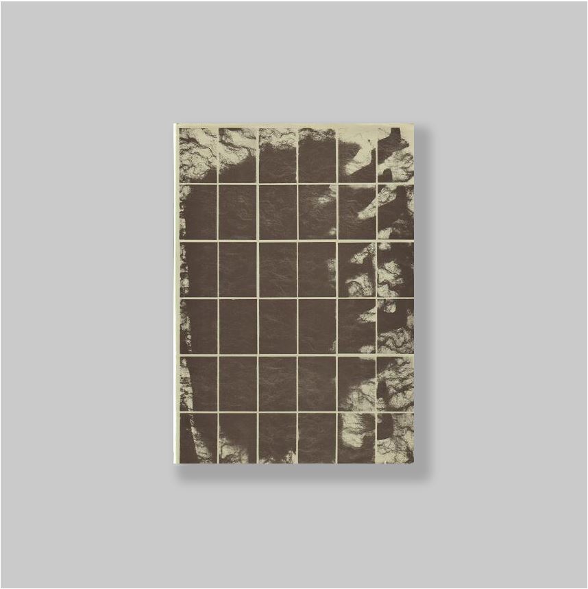 Nst (Nost), Torill (Bergen, 1954) - - Torill Nost: Bear Project [BearProject]. Manipulated Images of a Brown Bear, Photographed, Dry-Photocopied and Produced at The Jan van Eyck Academy. 