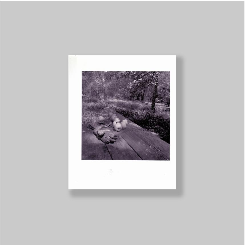Sheenan, Elena - - 1985-1987. Soul Dreams