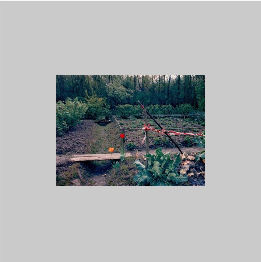 Luijendijk, Martin (Maassluis, 1958) - Allotment garden.