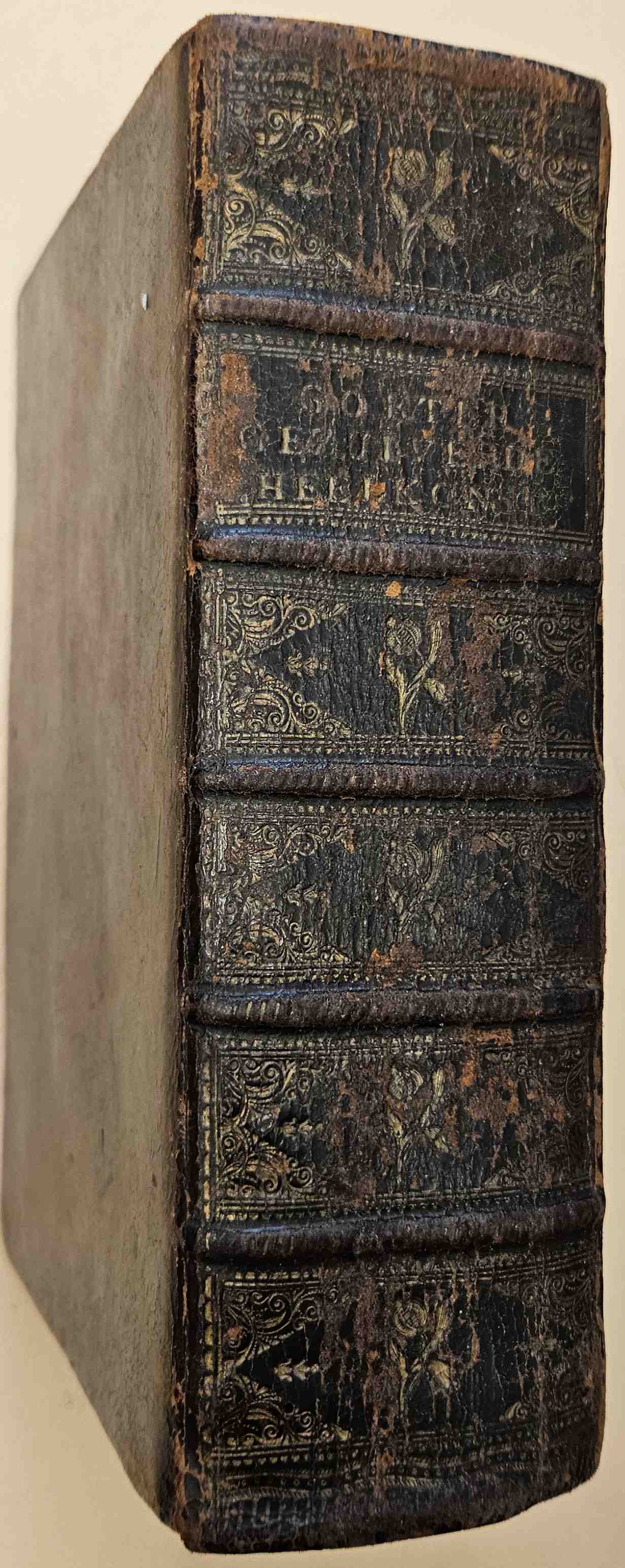 Gorter, J. de - Nieuwe gezuiverde heelkonst, in het Latyn beschreven. In het Nederduits overgezet door H. Korp. FIRST EDITION